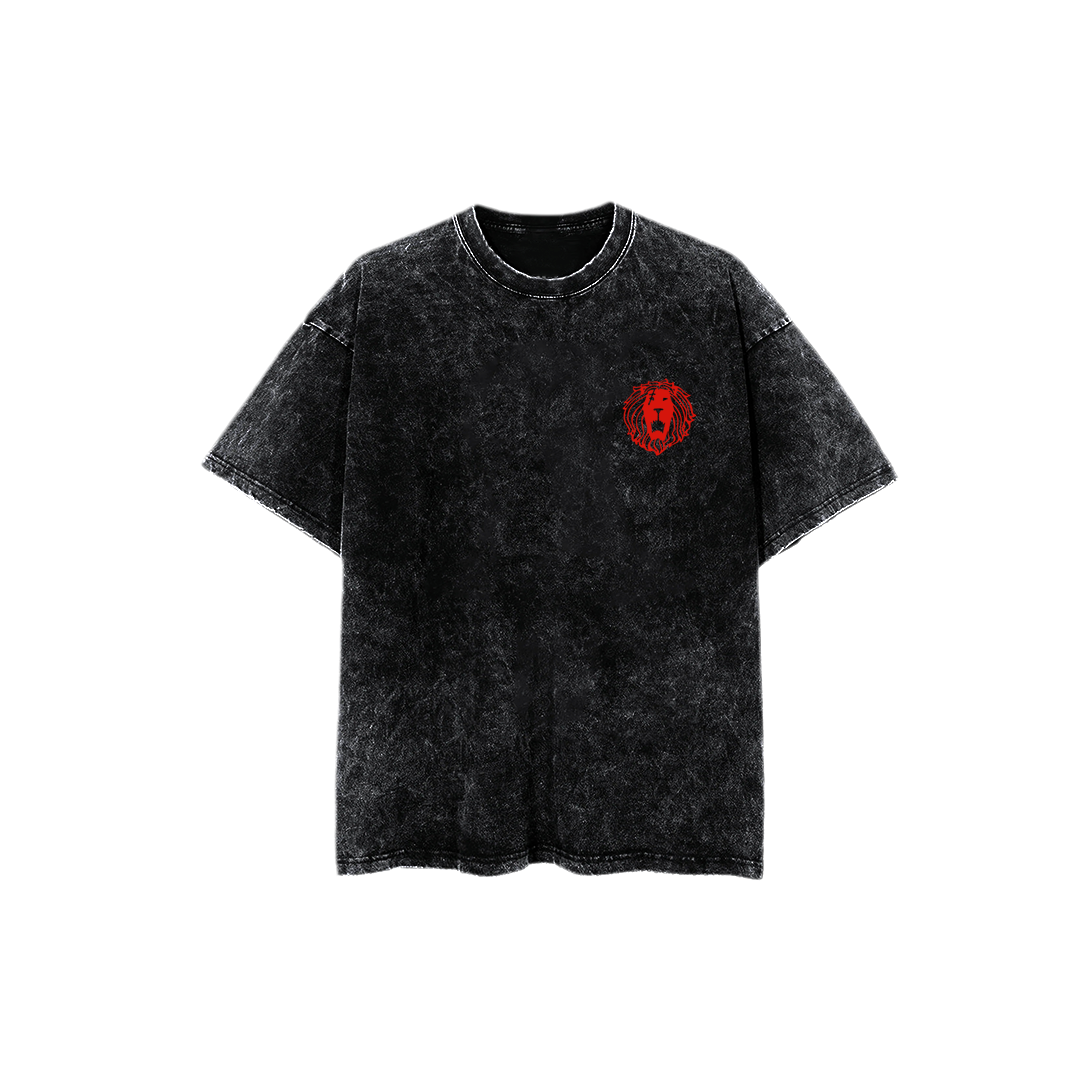 Oversize Acid Wash | Pecado del orgullo